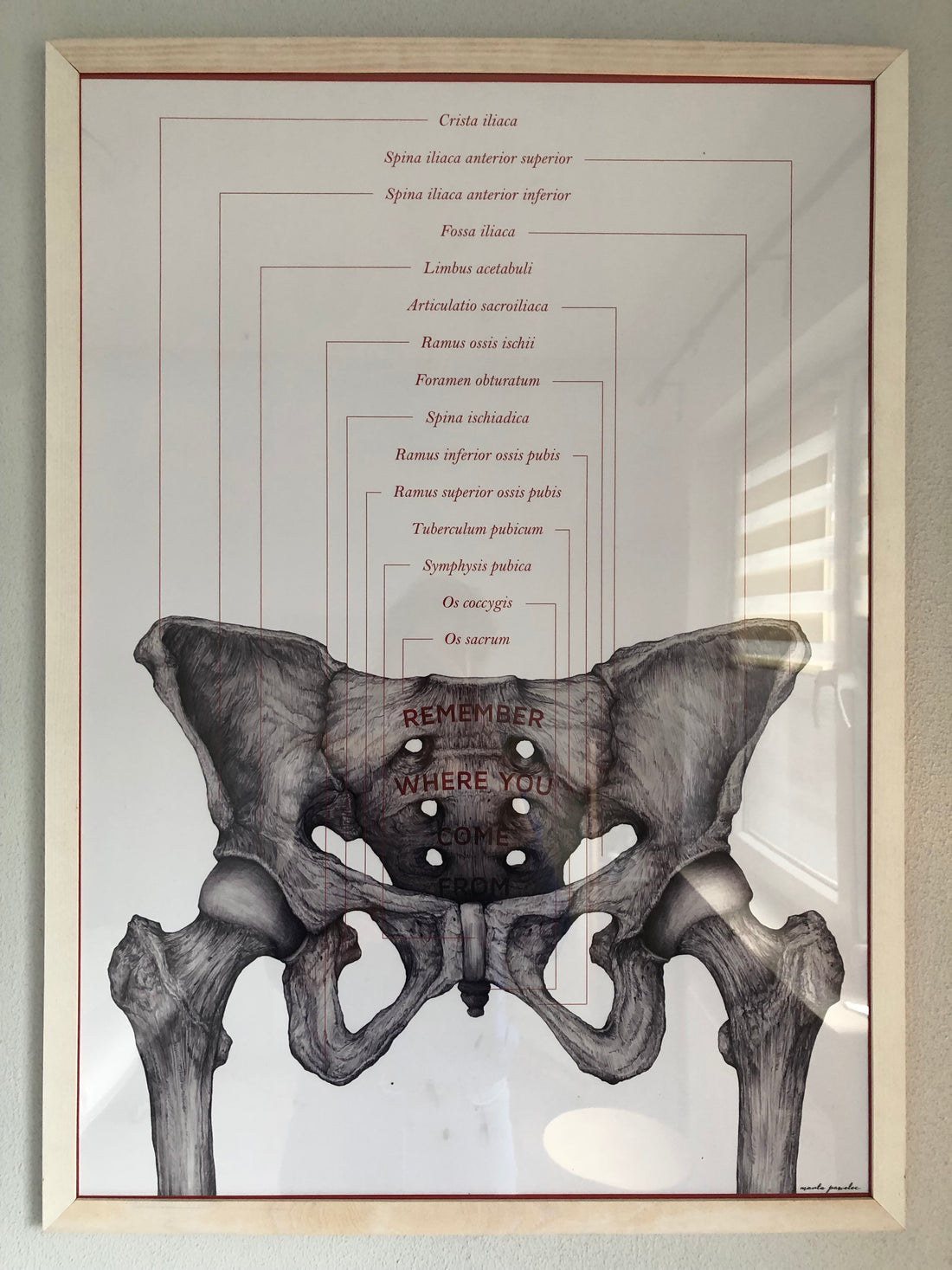 ABC mięśni dna miednicy. Co robić, a czego zdecydowanie nie.