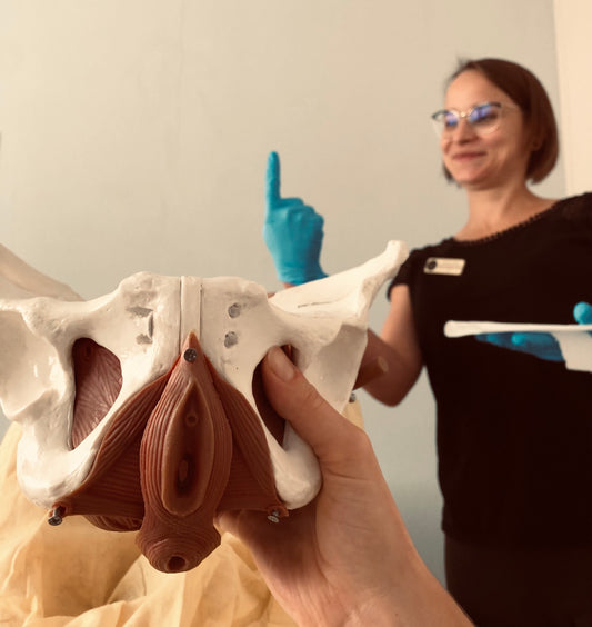 Jak wygląda wizyta u fizjoterapeutki uroginekologicznej Anki Zemlik-Franz.